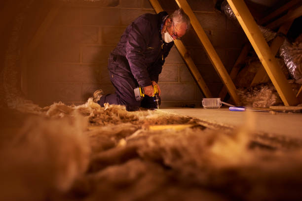 Best Geographic-Specific Insulation Services in Martinez, GA